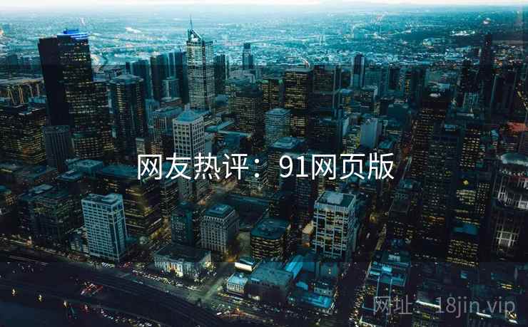 网友热评：91网页版