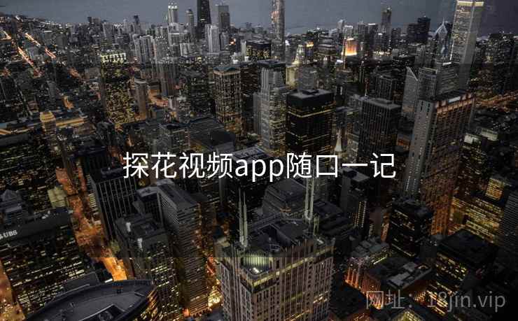 探花视频app随口一记