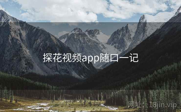 探花视频app随口一记