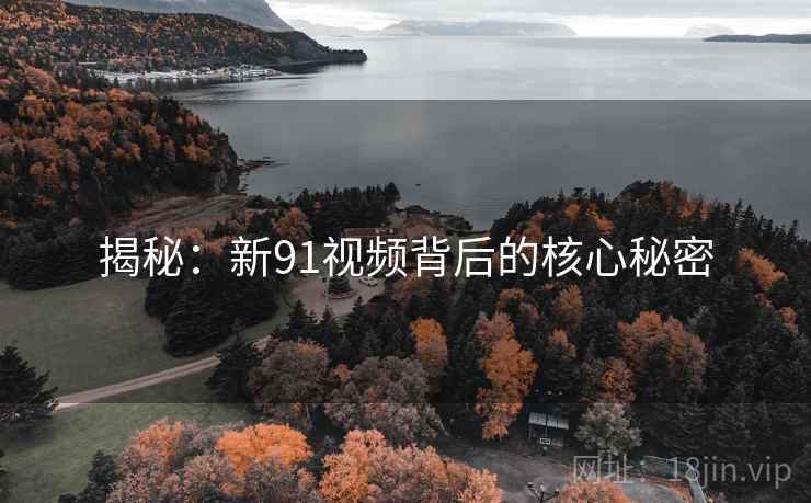揭秘：新91视频背后的核心秘密