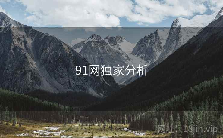 91网独家分析