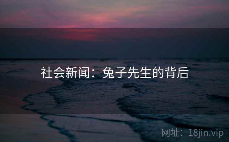 社会新闻：兔子先生的背后