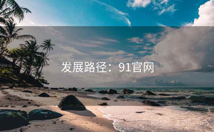 发展路径：91官网