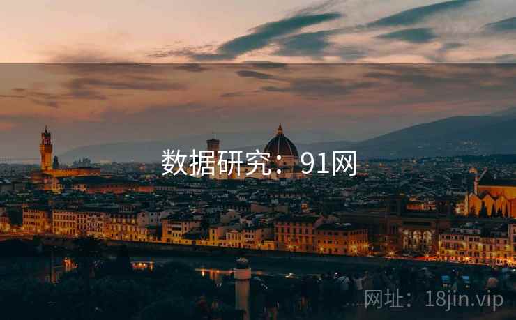 数据研究：91网