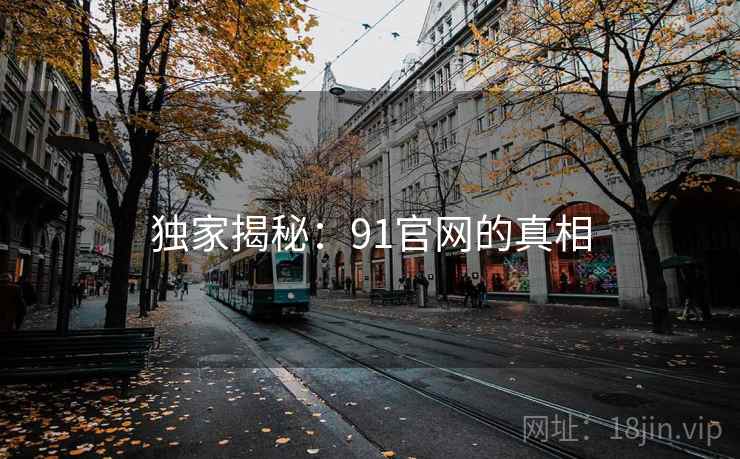 独家揭秘：91官网的真相